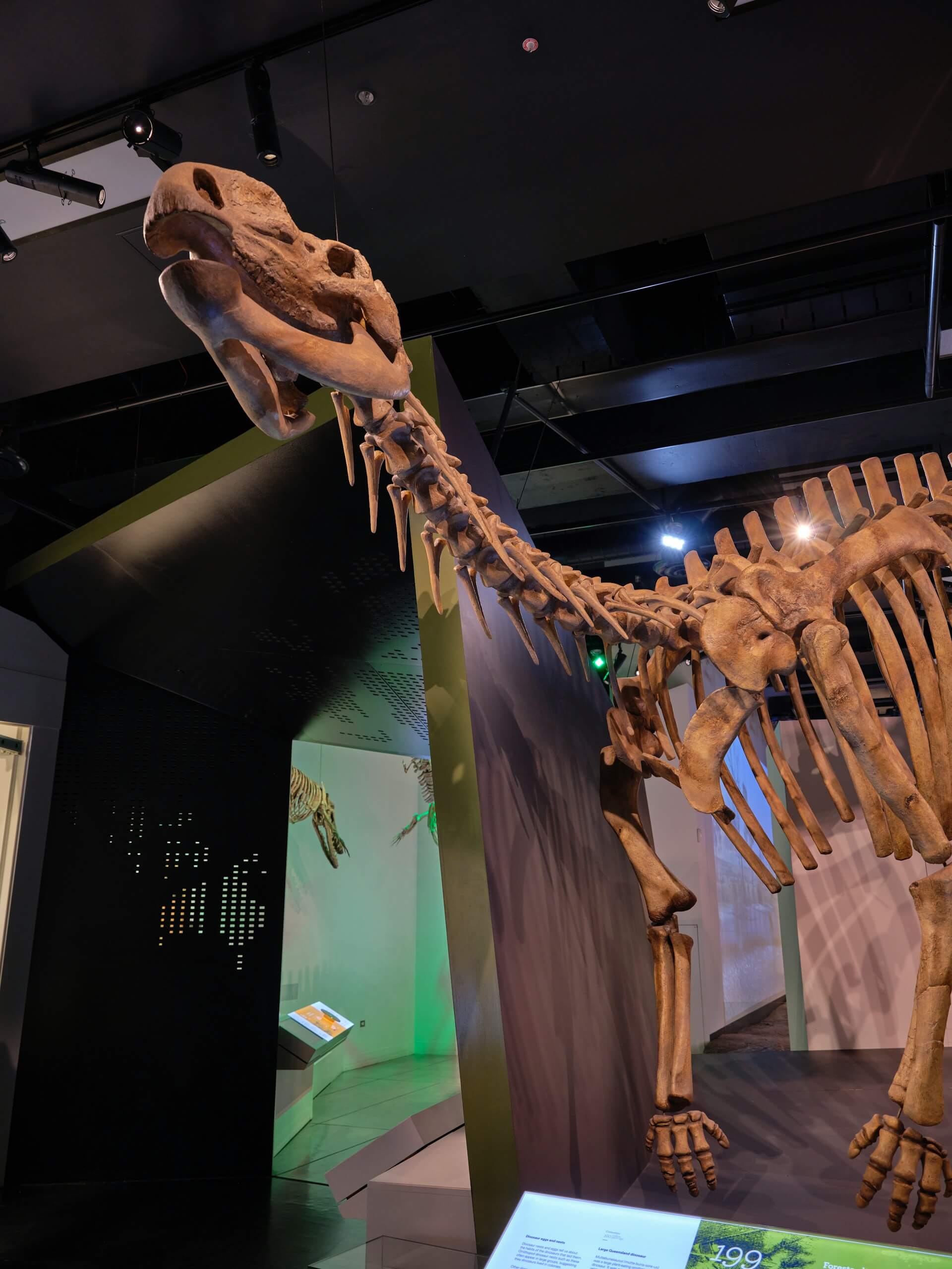 Australian Museum Australian Museum
